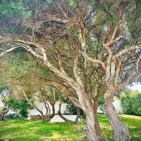 Starbal Apartment Es Castell  Bagian luar foto